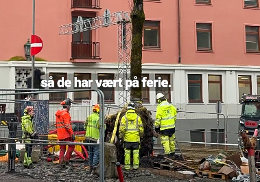 Se video her kommer trærne tilbake. traerne tilbake